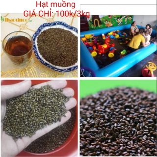 1kg Hạt muồng muồng