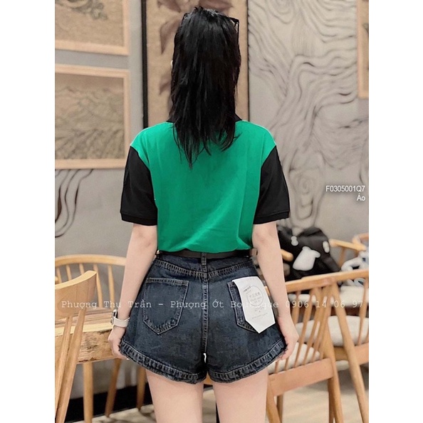 Áo thun cá sấu phối nhiều màu