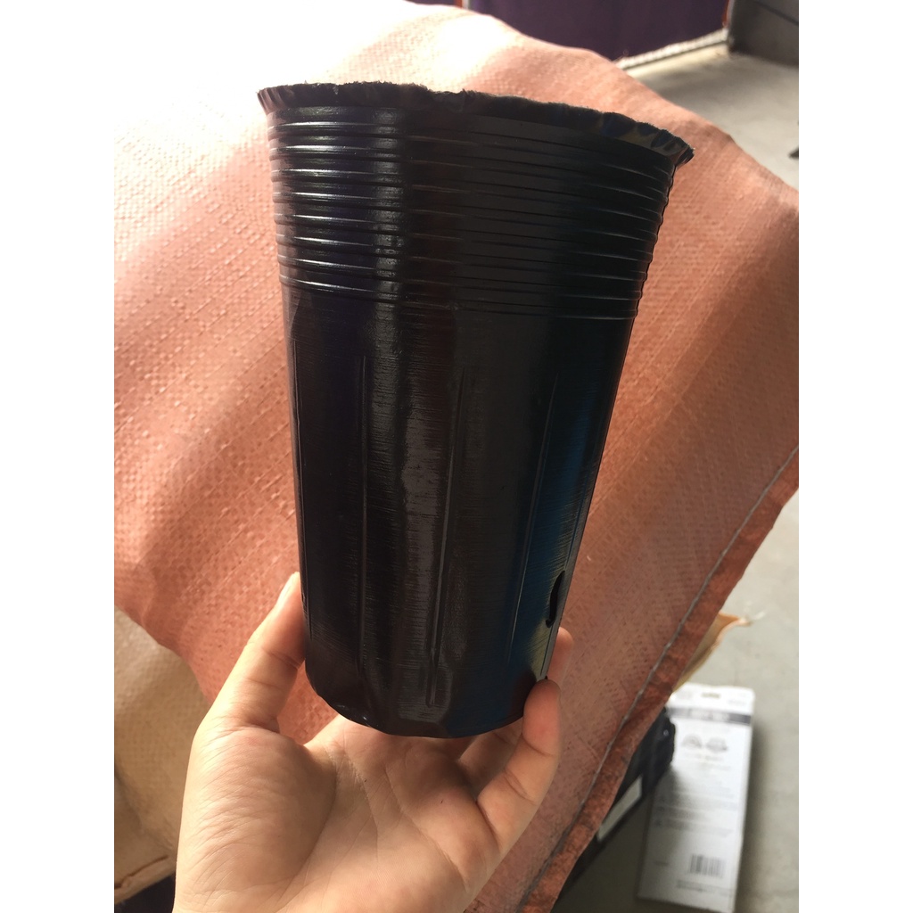 1 KG BẦU ƯƠM C13 (DỊCH TRUYỀN CHO CÂY, BẠT CHỐNG CỎ, KEO RUỒI VÀNG...)