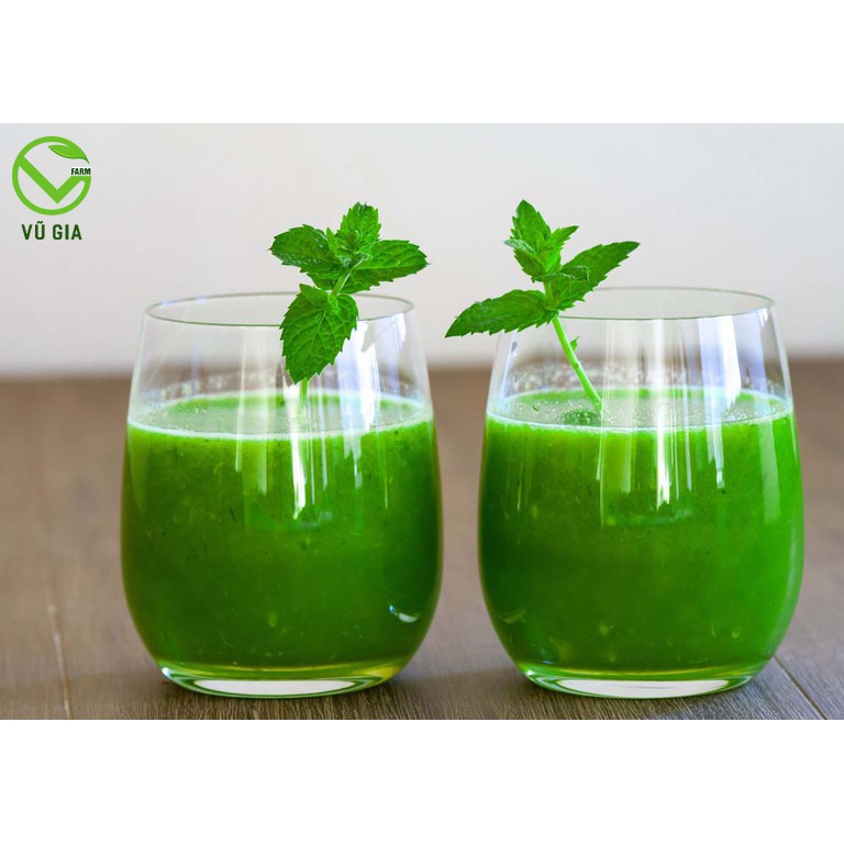 Combo Mật Ong Hoa Cà Phê 420g + Bột Bạc Hà Sấy Lạnh 50g Nguyên Chất Vũ Gia