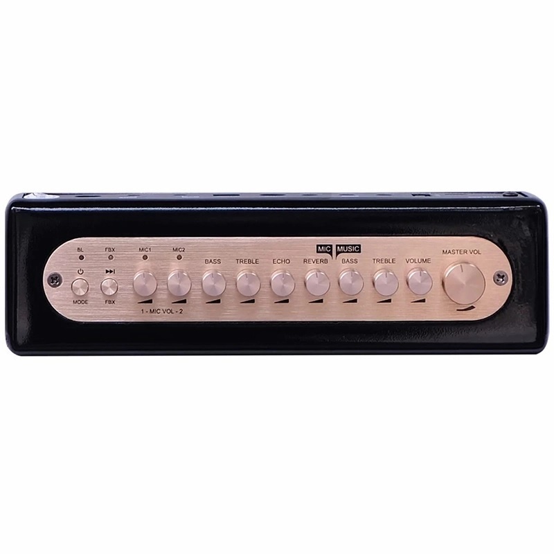 Bộ Micro Acnos Mi 30 Có Reverb