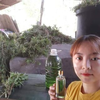 Tinh dầu tràm nhà nấu chai 100ml