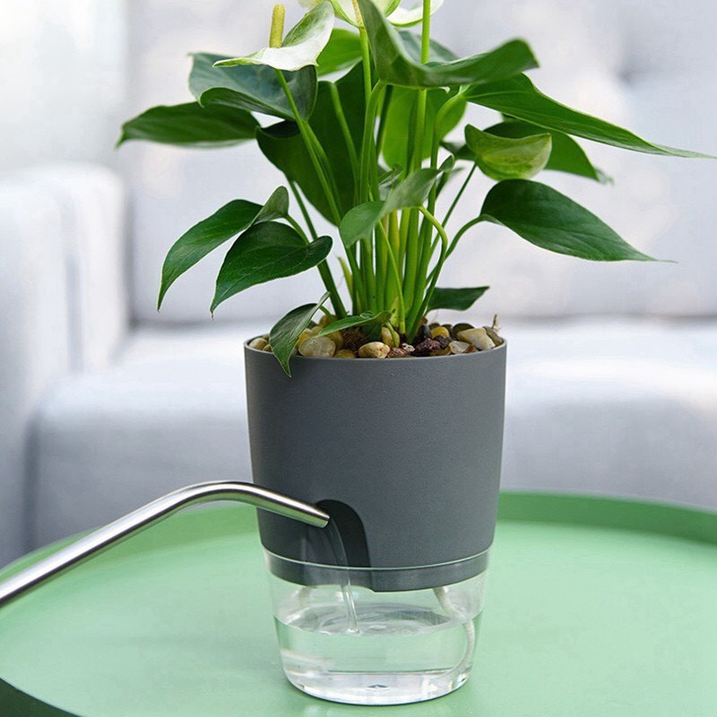 Chậu Trồng Cây Thông Minh nhập khẩu Oliz A7, Tự Tưới Nước Decor Văn Phòng