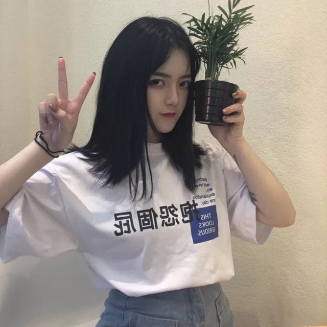 Áo phông chữ Tàu ô vuông xanh HARI0320