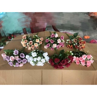 hoa Hồng nhí