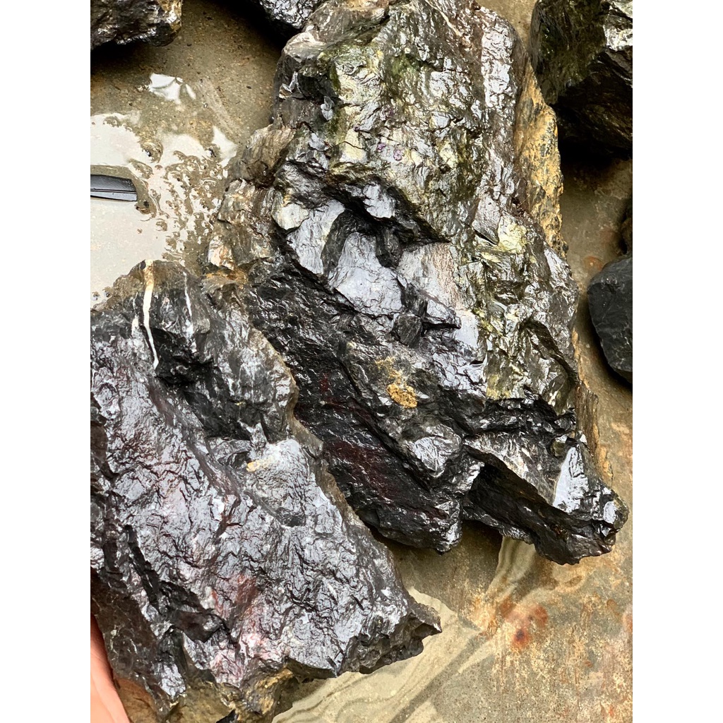 Đá vỉa suối - Loại đá mới rất Hot setup bể thuỷ sinh- chuyên dụng cho IWAGUMI,Biotope....Mua nhiều ưu đãi giảm giá