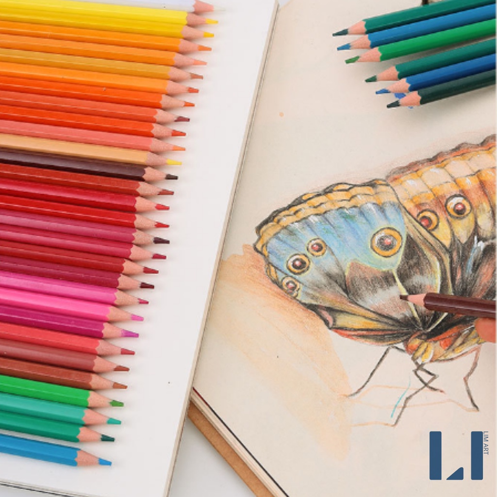 Hộp bút chì 12/18/24 màu