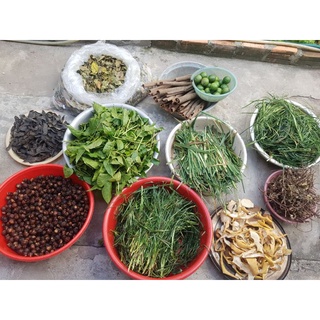 Dầu gội thảo dược Tóc Mây