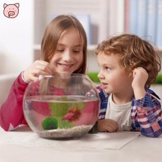 2-4cm Mini Aquarium Plant Shrimp Fish Tank Moss Balls Live Waterweeds Fish Tank Ornament Decoration