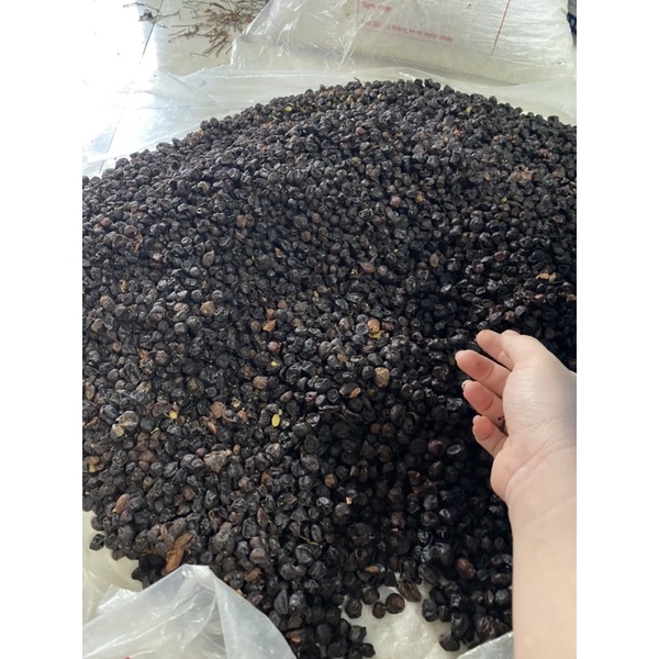Móc mật khô lạng sơn