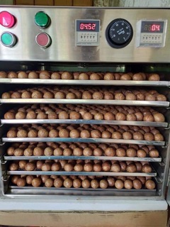 500g MẮCCA SẤY NỨT ĐẮK LẮK( size đại)