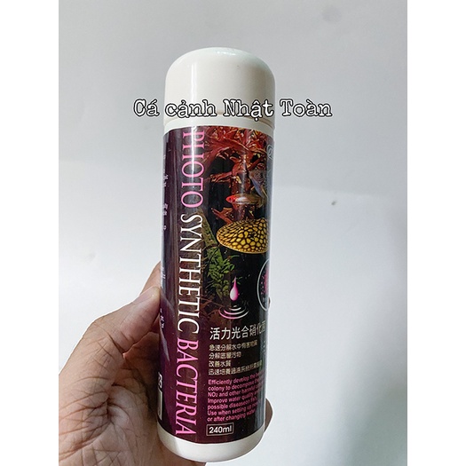 PHOTO SYNTHETIC BACTERIA (PSB) ISTA ĐÀI LOAN 240ML KHỬ AMONIAC, NITRITE VÀ CÁC CHẤT ĐỘC, BỔ SUNG VÀ GIÚP TẠO HỆ VI SINH