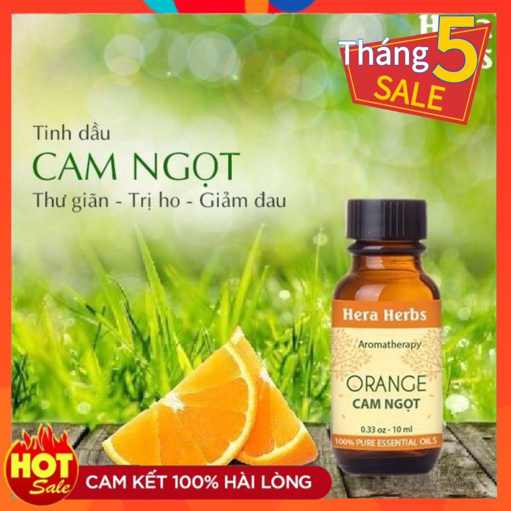 [XÃ HÀNG] [TINH DẦU] Tinh Dầu CAM NGỌT 10ml - Orange _HD