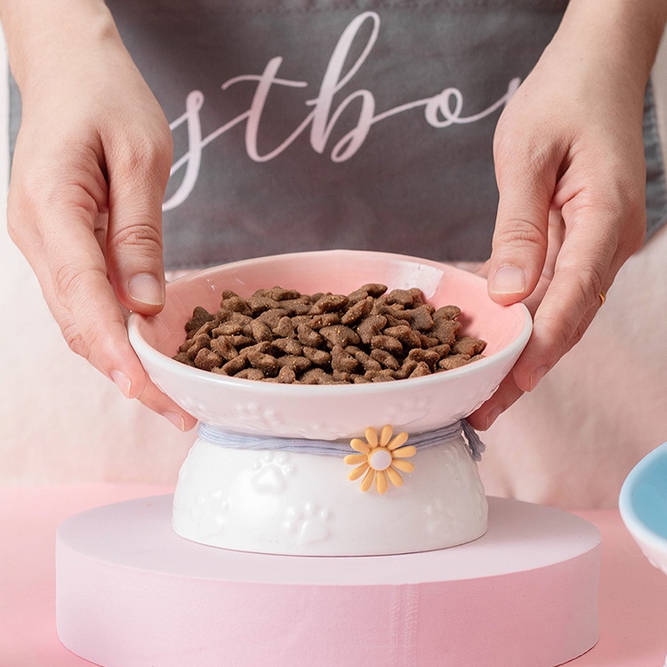 Bát thức ăn chống gù lưng cho mèo - bát ăn bằng sứ sang trọng cho mèo
