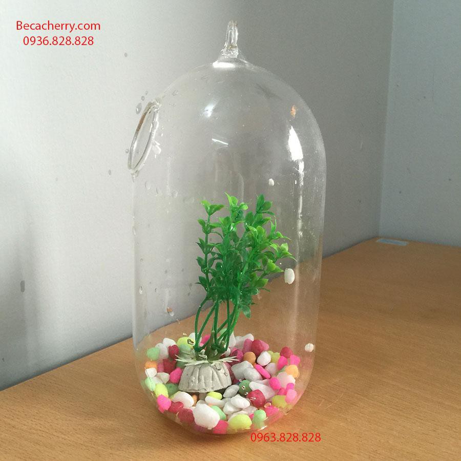 _Bình thủy tinh treo dưa cỡ to  20x10cm không kèm giá treo