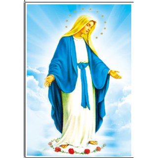 Tranh thêu chữ thập Đức mẹ ban ơn ( chưa thêu)-X8029