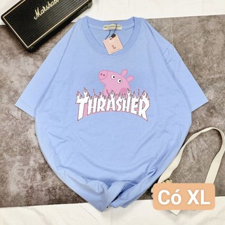 🍍áo thun 70/11 piggy🍍