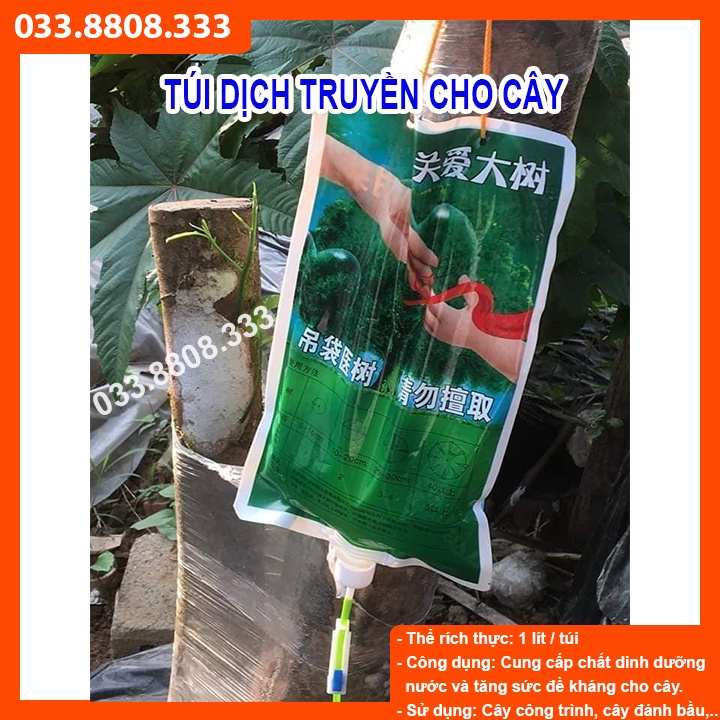 DỊCH TRUYỀN XANH DÙNG CHO CÂYTÚI 1LIT - HỖ TRỢ CÂY PHỤC HỒI NHANH