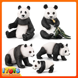 7 con Gấu trúc, mô hình đồ chơi gấu trúc cho bé | DV37