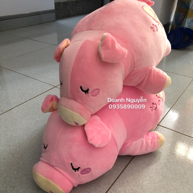 Gấu Bông Heo Lười
