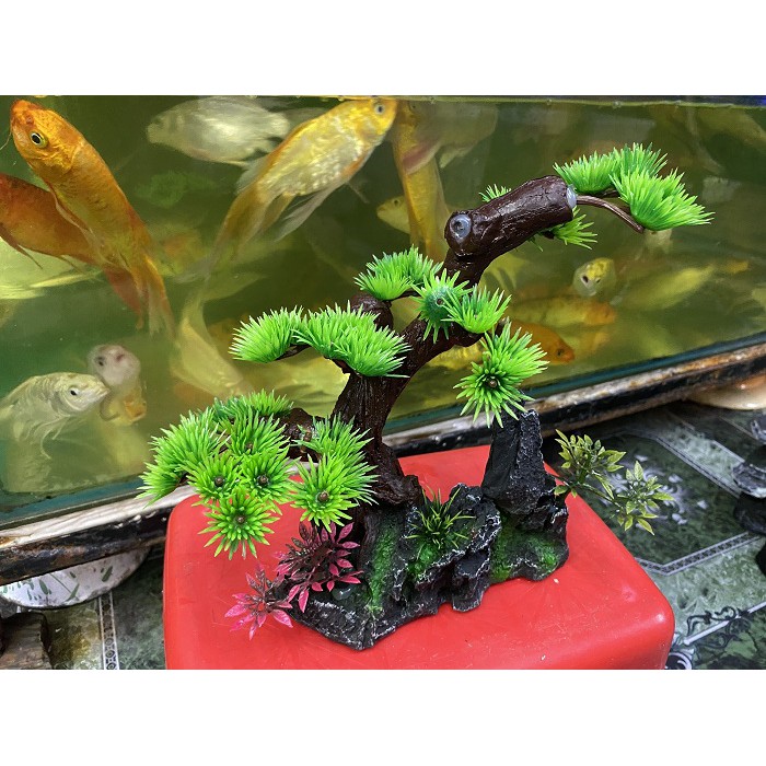 TIỂU CẢNH TRANG TRÍ HỒ CÁ NON BỘ 16X5X21CM