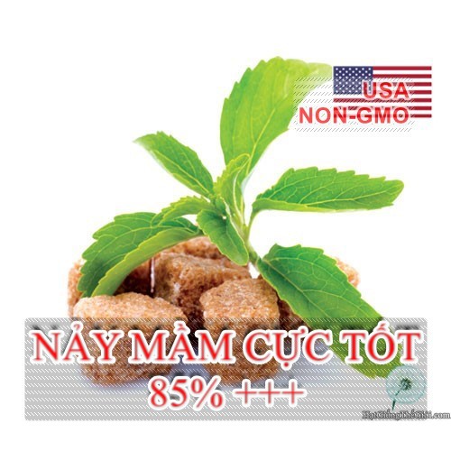 5h Hạt Giống Cỏ Ngọt Stevia (TL| C26*V32)