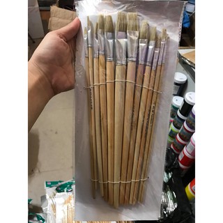 Cọ bộ 12 Kangrui 12 cây đẹp