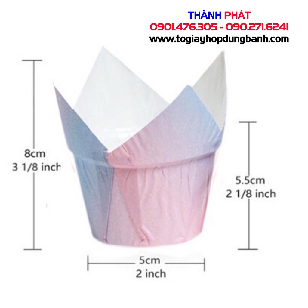 200 Cupcake lá đựng bánh bông lan - bánh kem - cup lace dùng để trang trí