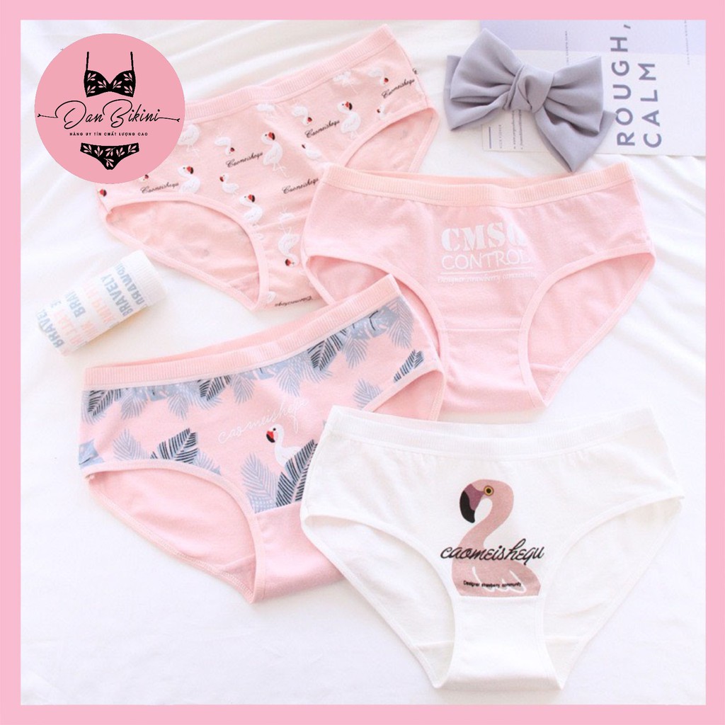 Quần Lót Nữ Cotton 100% kháng khuẩn thoáng mát ❤️ Quần Chip dễ thương hồng Flamingo mã B807 | BigBuy360 - bigbuy360.vn