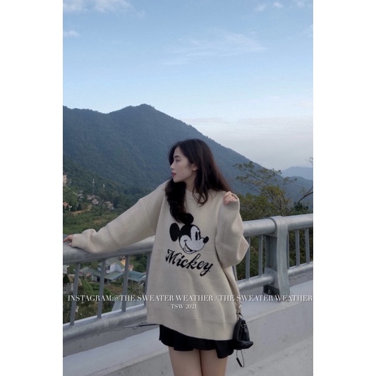 (Ảnh thật) Áo len hình thú chất đanh mịn oversize form giấu quần the.sweaterweather TSW | BigBuy360 - bigbuy360.vn