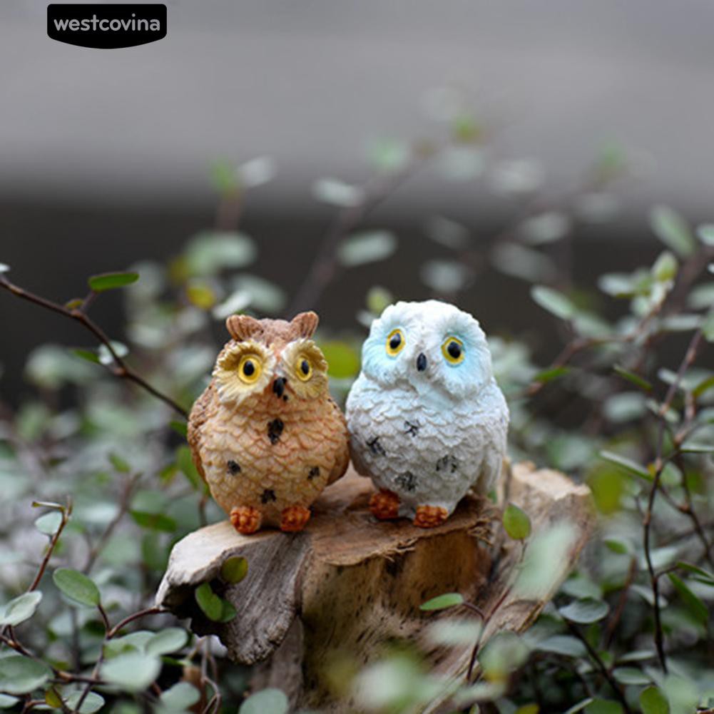 Mô Hình Cú Mèo Mini Trang Trí Đáng Yêu