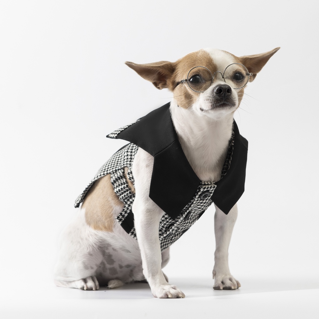 Áo hàng hiệu cho thú cưng SaboCoco - B&W5