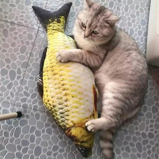CÁ BÔNG CÓ TẨM CATNIP CHO MÈO