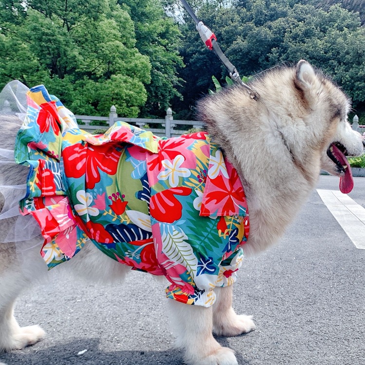 Váy hoa cùng cúc bướm Quần áo cho chó Quần áo cho mèo Quần áo cho thú cưng Chó cỡ trung và lớn Có nhiều kích cỡ để lựa chọn Váy váy cho chó Chó săn vàng Chó Siberia Chó Alaska