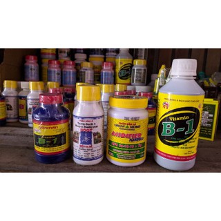 1 Lọ B1 Thái Lan [100ml]