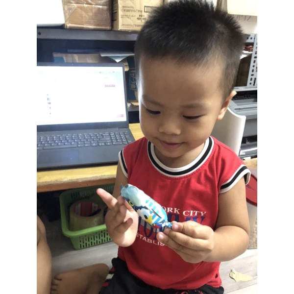 Kẹo mút Glico Popcan thơm ngon