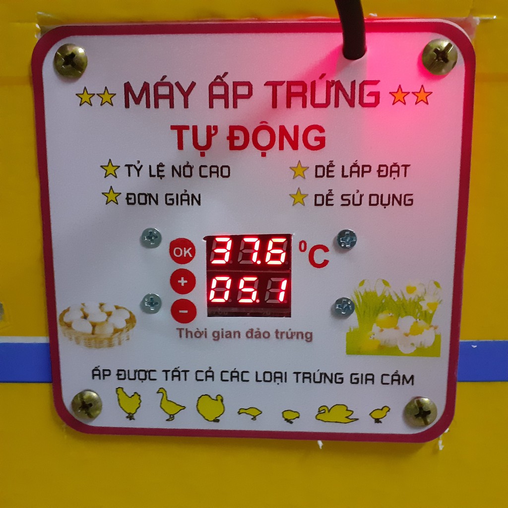 Máy ấp trứng tự động 108 trứng