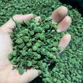 Nụ hoa tam thất 300g -200g -100g