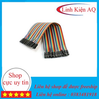 Dây câu mạch 40P 20CM linhkiencaugiay