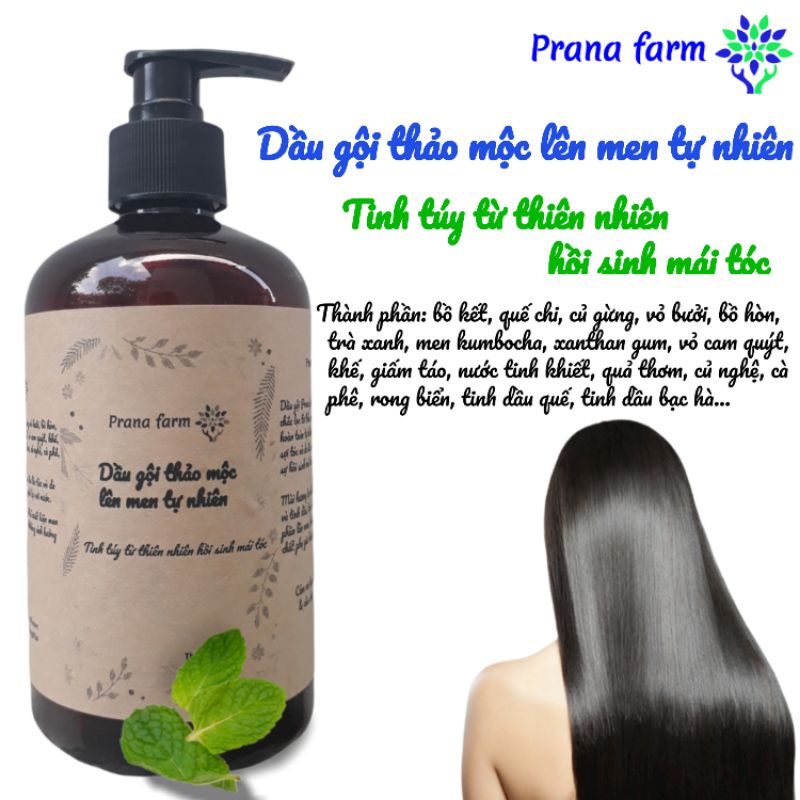 Dầu gội Thảo Mộc lên men tự nhiên Prana farm 500ml hồi sinh mái tóc khỏe đẹp