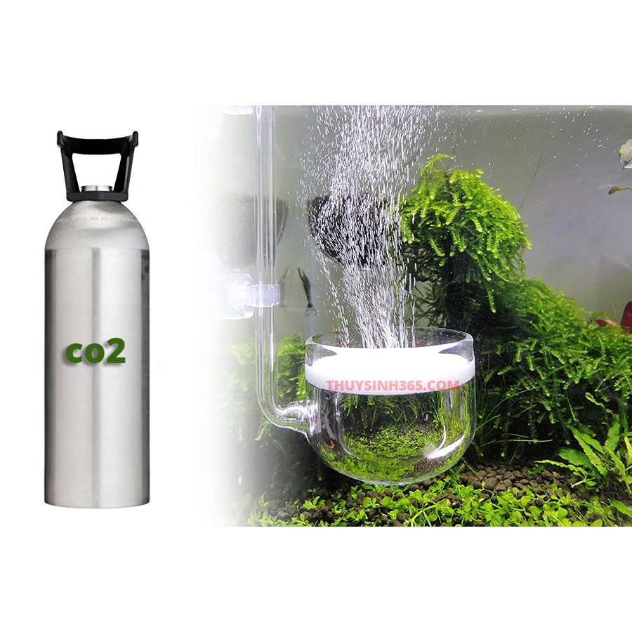 Combo 2Kg Nguyên liệu Chế CO2 (1Kg Acid Chanh, 1Kg Baking Soda) Cho Bể Cá Cảnh, Bể Thuỷ Sinh