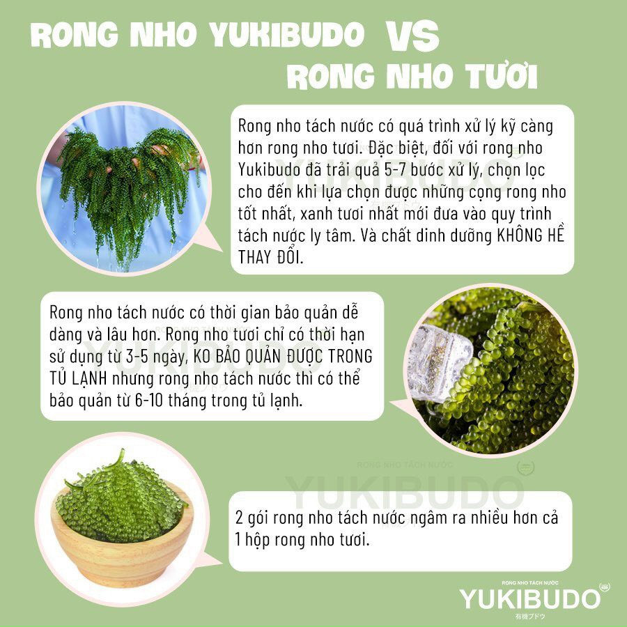 Gói lẻ 25g Rong nho tách nước Yukibudo Organic Food