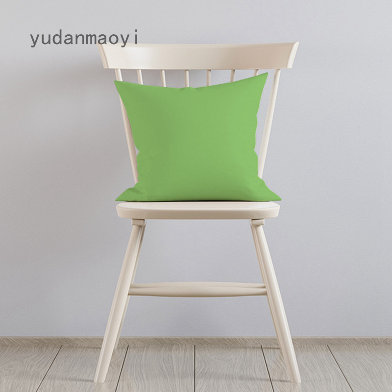 Vỏ Gối In Hình Quả Đào Hai Mặt 45x45cm Trang Trí Nhà Cửa