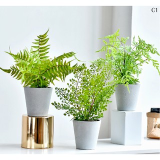 Cây giả decor trang trí loại nhỏ