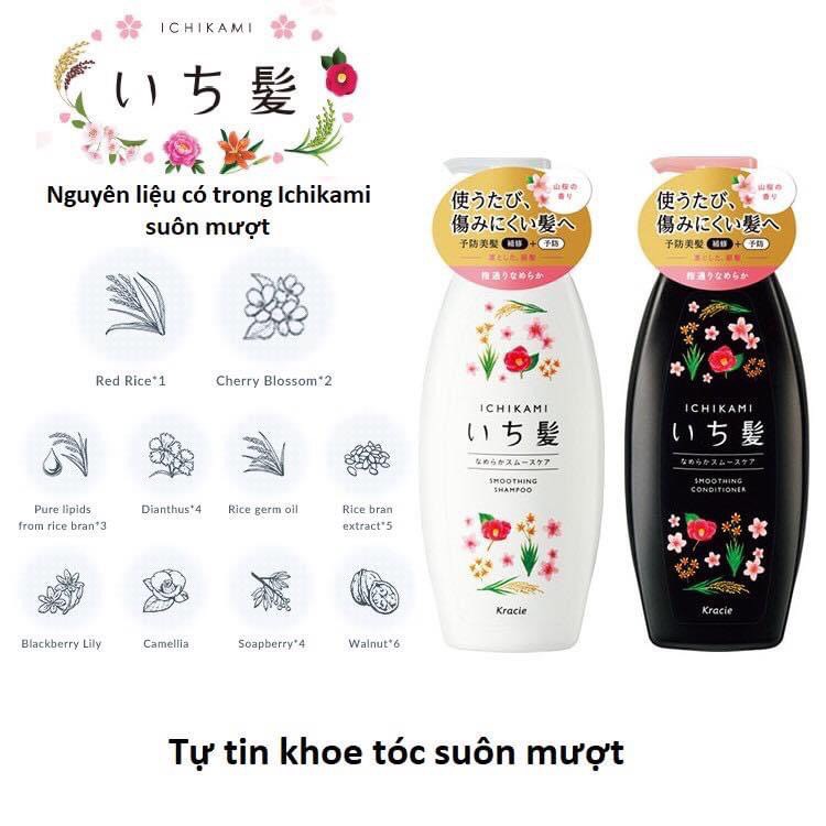 Dầu Gội Ichikami 480ml