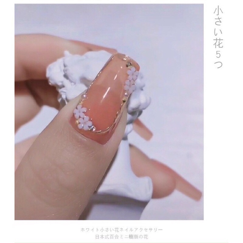 Sét hoa sứ Cheap Nail, phụ kiện trang trí móng, hoa sứ trắng làm nail bi vàng trắng