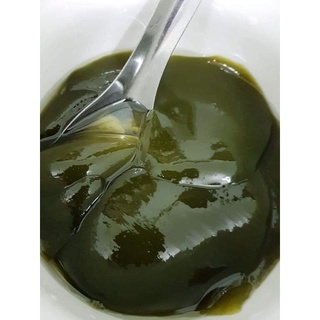 Bột thạch lá găng ( lá sương sâm) 500g