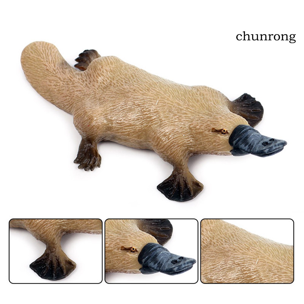 Mô hình thú mỏ vịt sống động trang trí bàn và làm đồ chơi cho trẻ em