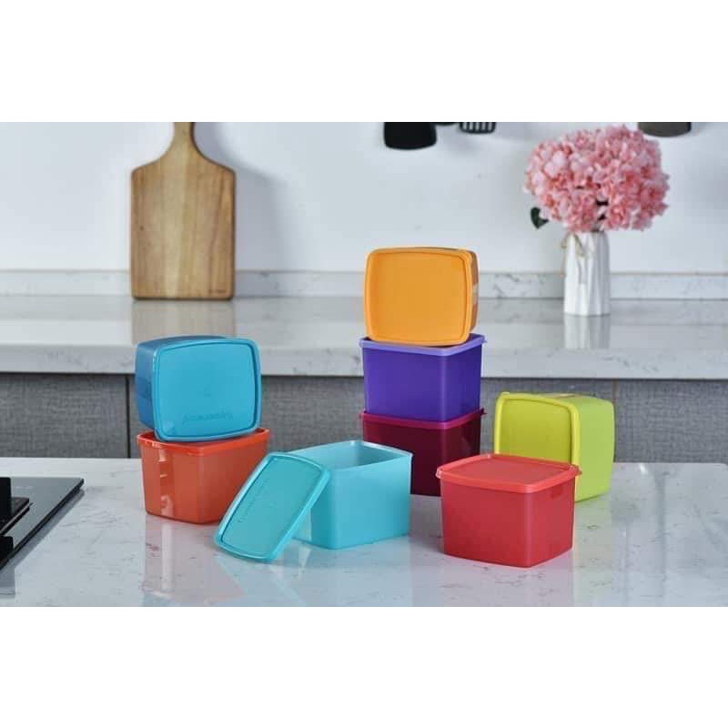 Hộp đựng thực phẩm ngăn mát tupper