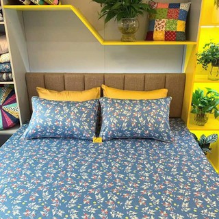 Vỏ gối cotton Khánh Chi